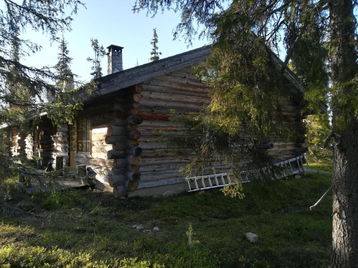 Logwood Chalet Luosto Exteriér fotografie