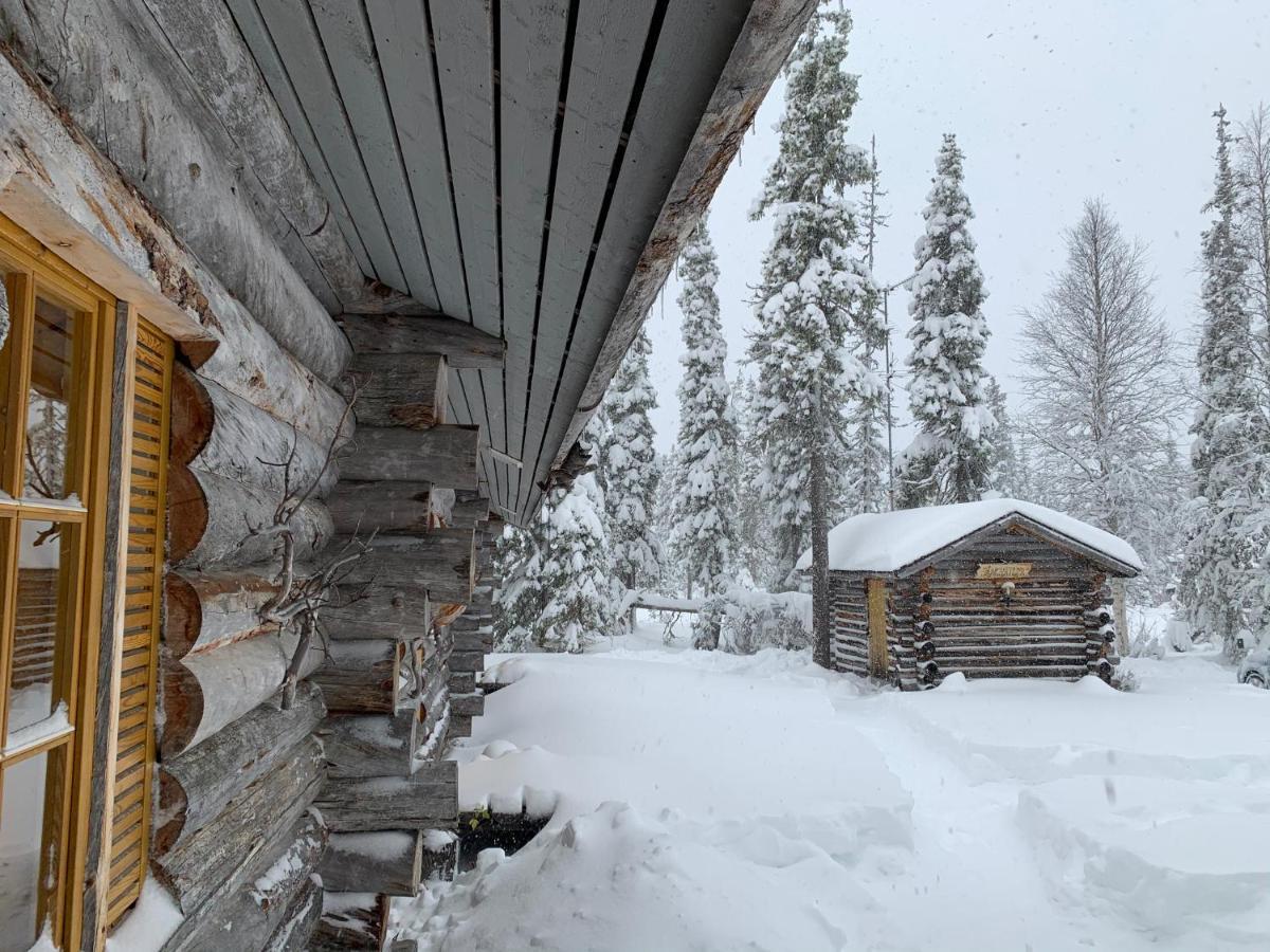 Logwood Chalet Luosto Exteriér fotografie